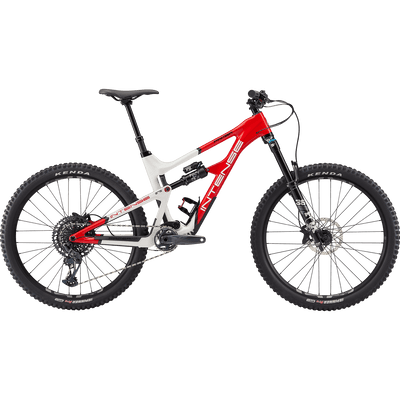 2020 intense discount primer